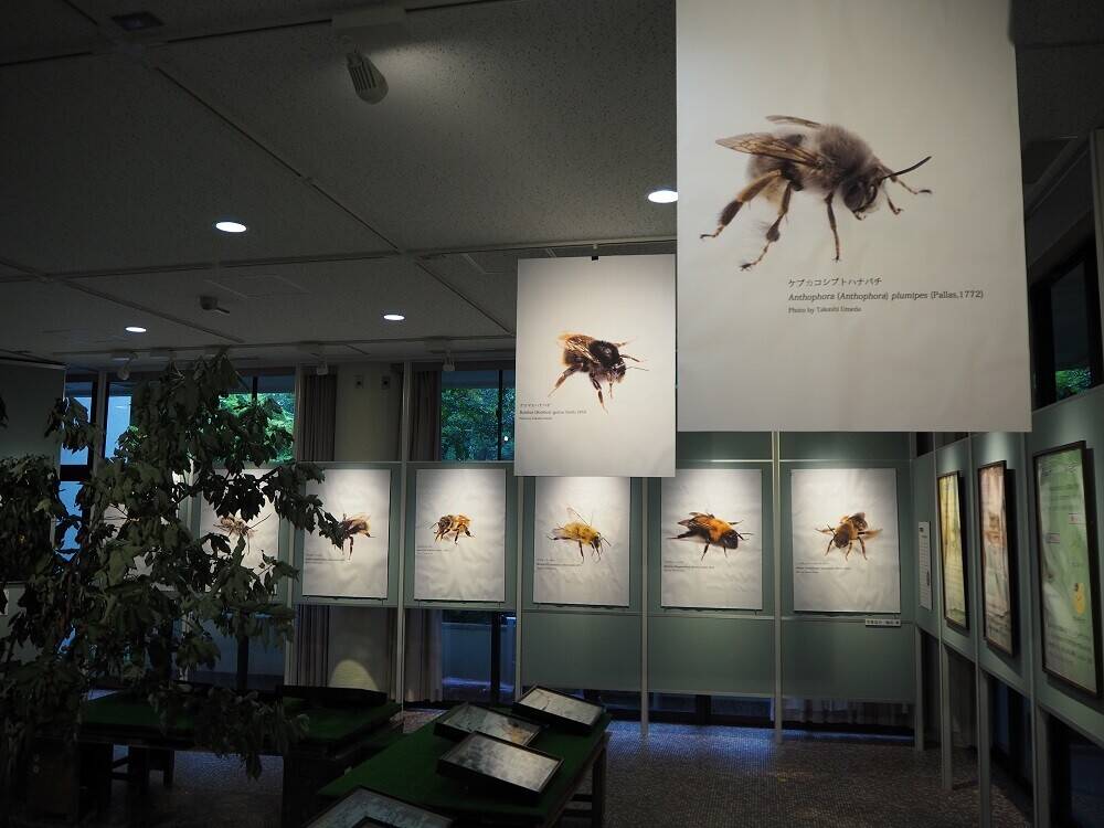 コラボレーションの写真