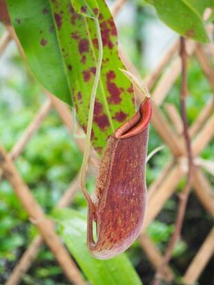 夏休み企画展、本日終了