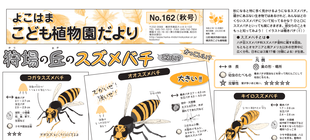こども植物園だよりNo.162（2020年 秋号）