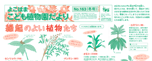 こども植物園だよりNo.163（ 冬号）