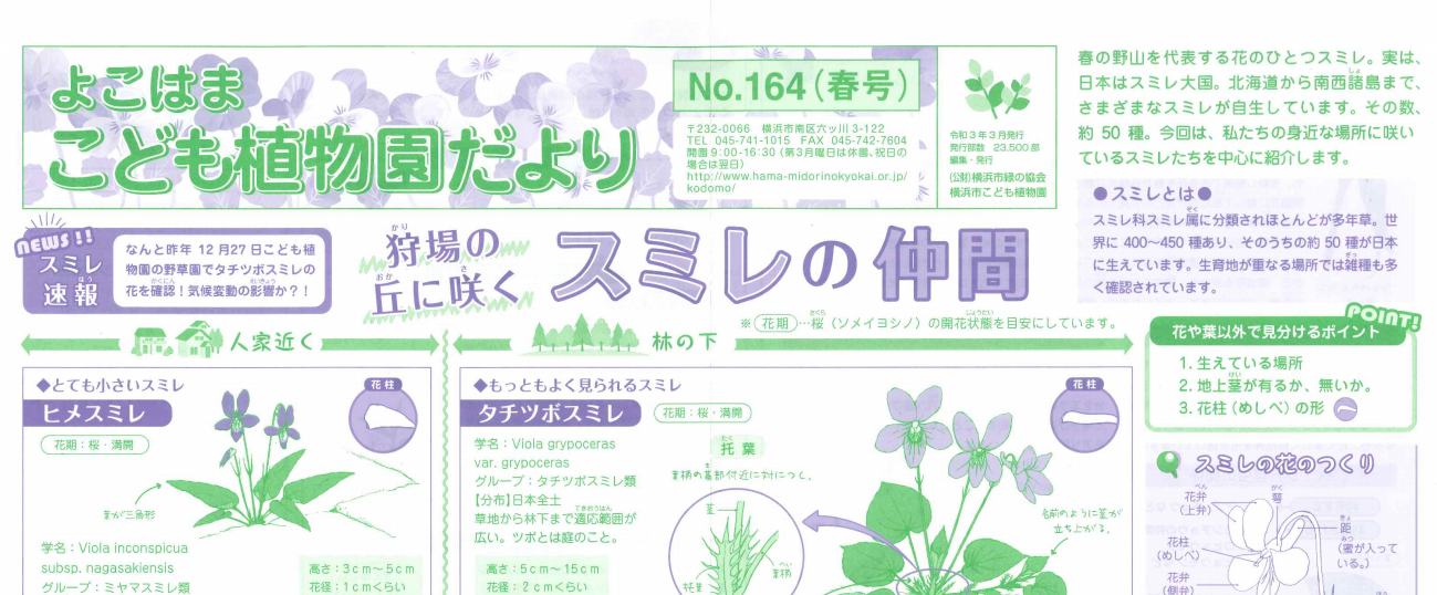 こども植物園だより No 164 21年春号 こども植物園だより こども植物園公式サイト 公益財団法人 横浜市緑の協会