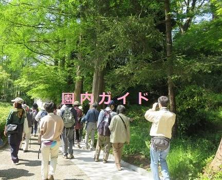 園内ガイドの写真