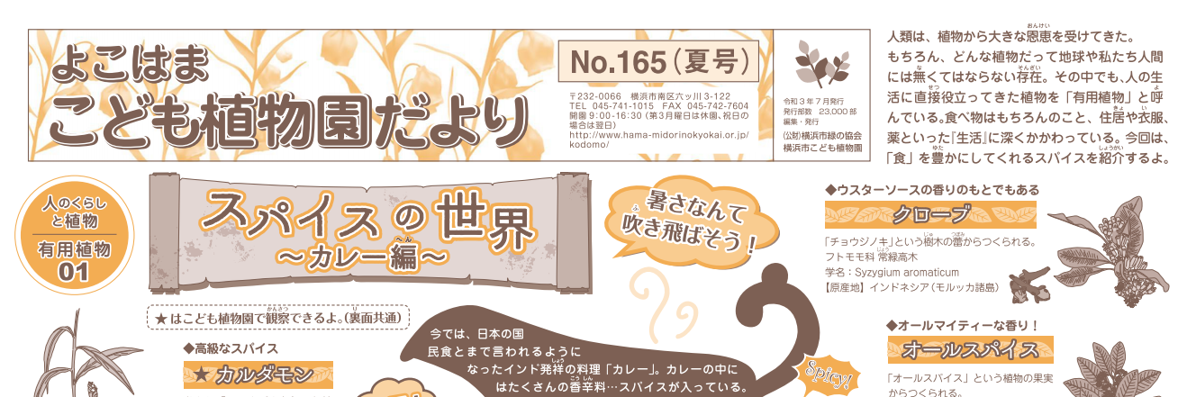  こども植物園だより No.165（2021年夏号）の写真