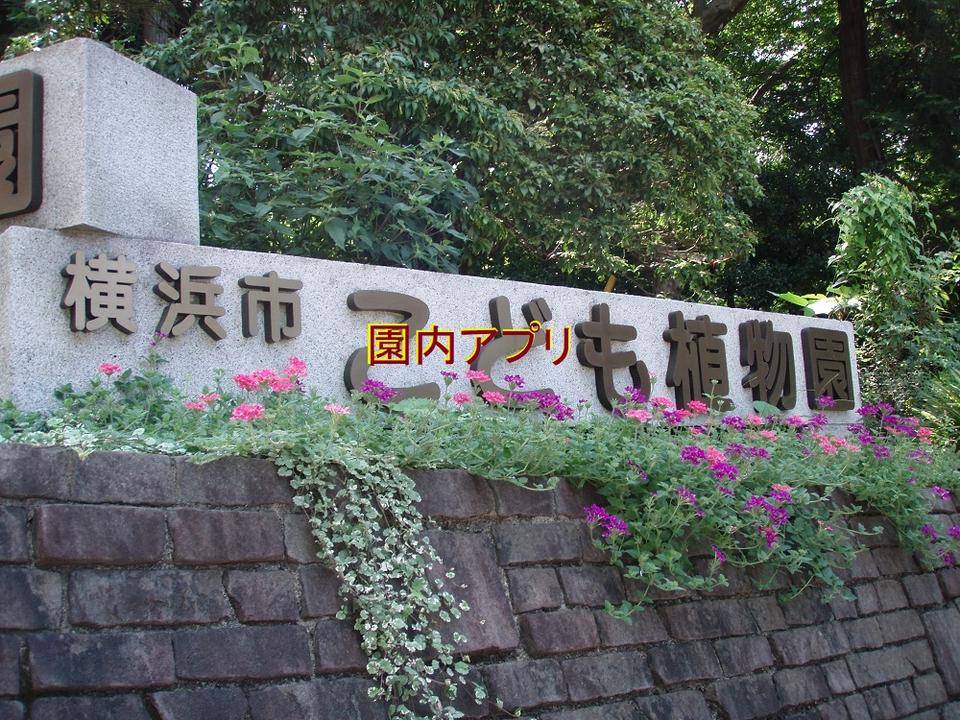 園内案内用アプリのお知らせの写真