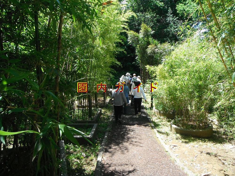 園内ガイドの写真