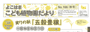 こども植物園だより No.166（2021年秋号）
