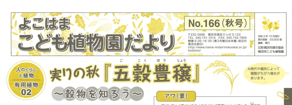こども植物園だより No.166（2021年秋号）の写真