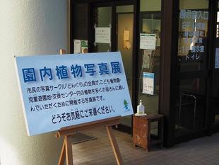 写真展開催してます