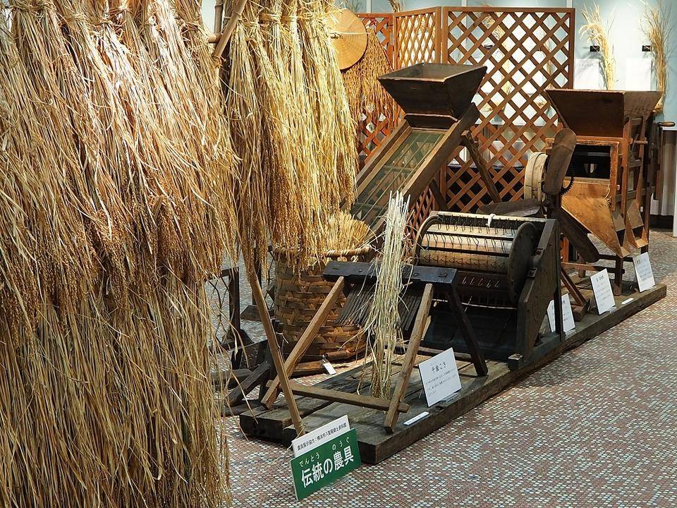 アバウト ライスの写真
