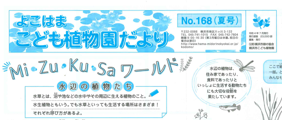 こども植物園だより No.168（夏号）の写真