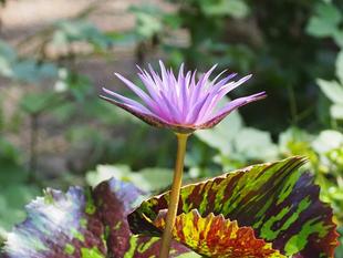 設置しました。