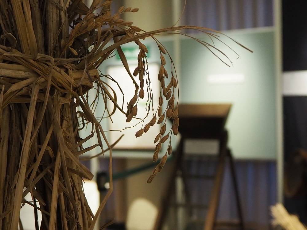 わら色の展示室の写真