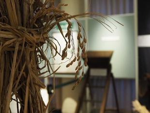 わら色の展示室