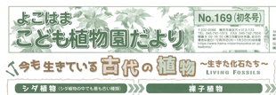  こども植物園だより No.169（初冬号）