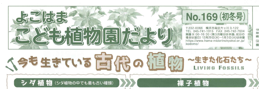  こども植物園だより No.169（初冬号）の写真