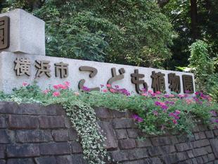 園内案内用アプリのお知らせ