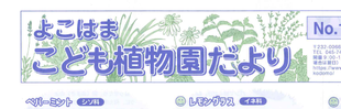 こども植物園だより No.171（夏号）