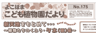 こども植物園だより No.175