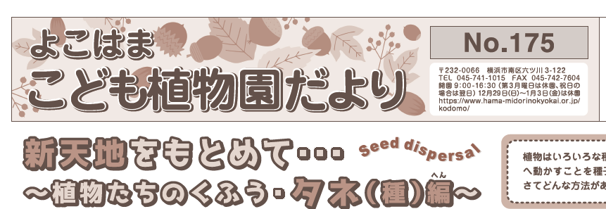 こども植物園だより No.175の写真