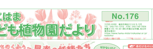 こども植物園だより No.176