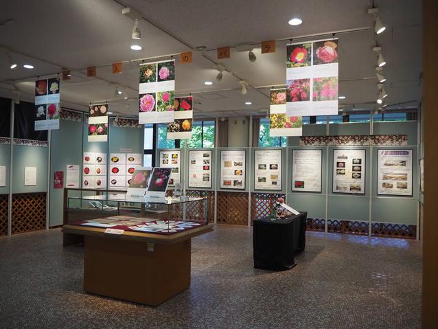 2025.5バラ展1.jpg