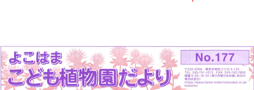 こども植物園だより No.177の写真