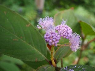 令和７年度「各種教室」のお知らせ