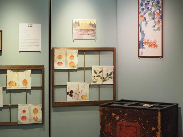 2025柿展3.jpg