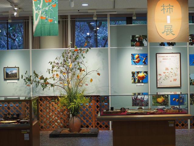 2025柿展5.jpg