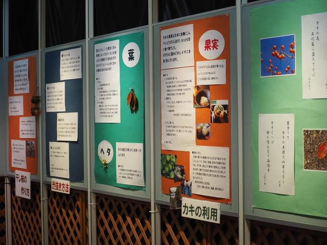 2025柿展2.jpg