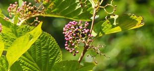 令和７年度「各種教室」のお知らせ
