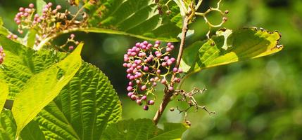 令和７年度「各種教室」のお知らせの画像