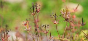 小さな秋を見つけてみてはいかがでしょうか？