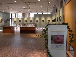 「横浜ばら会写真部写真展」を開催しています