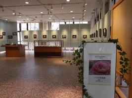 「横浜ばら会写真部写真展」を開催していますの画像