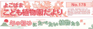 こども植物園だより No.178