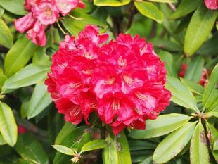  令和８年度　大人の講座　各種教室