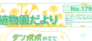 こども植物園だより№179