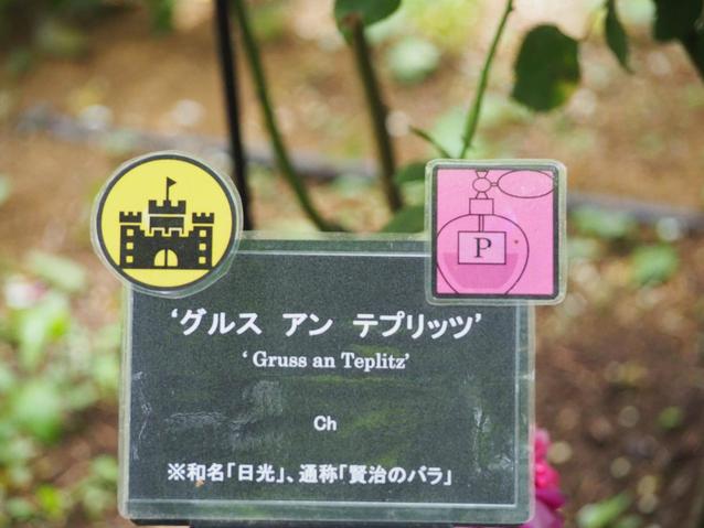 2026.5.12グルスアンテプリッツ銘板.jpg