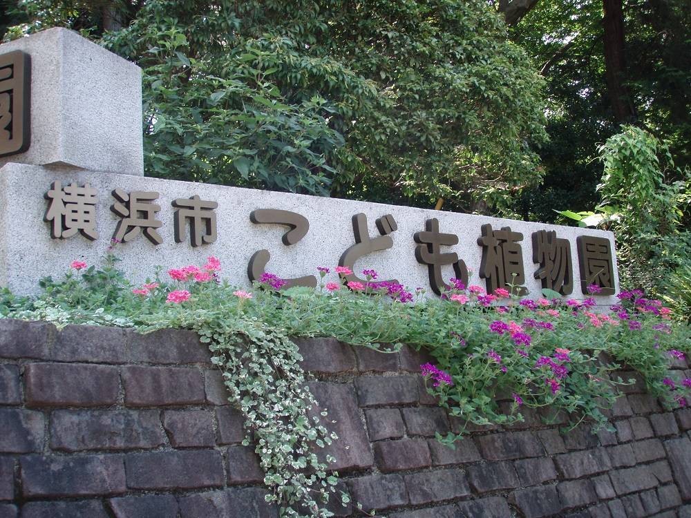 横浜市こども植物園年間スケジュール《2026年度》の写真