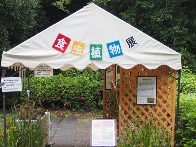 2026食虫植物展.jpg