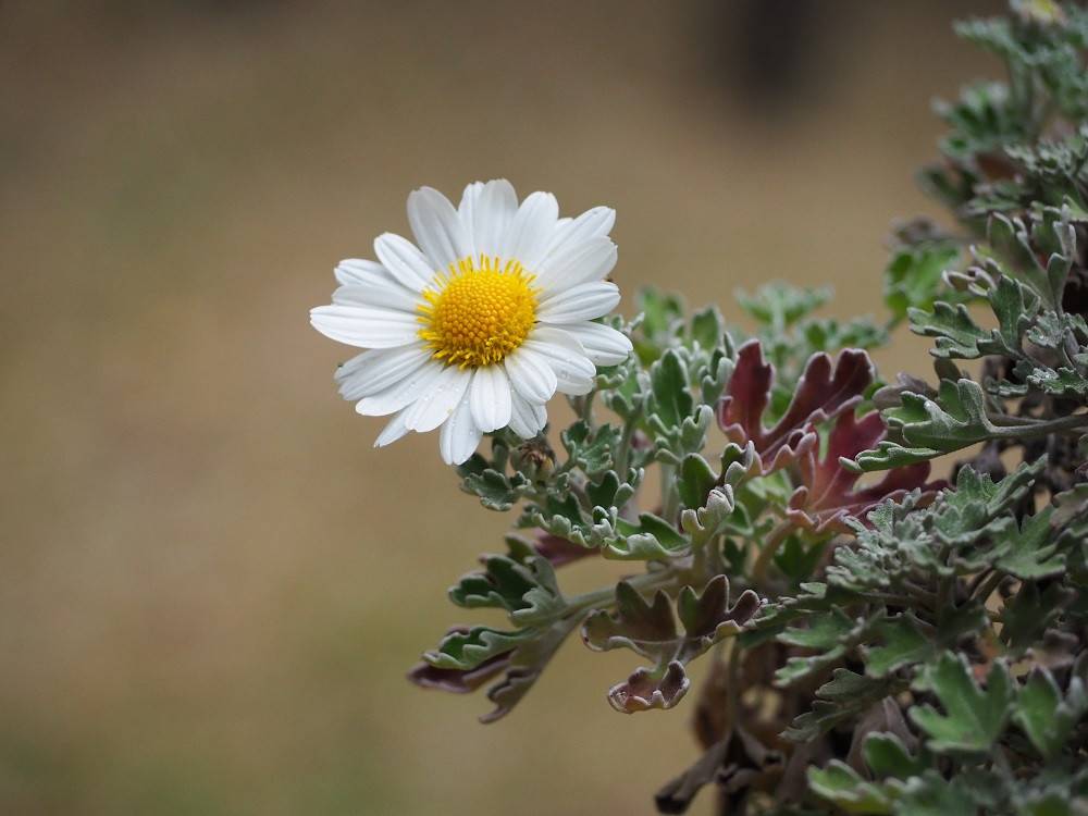 PB240180 - コピー.jpg