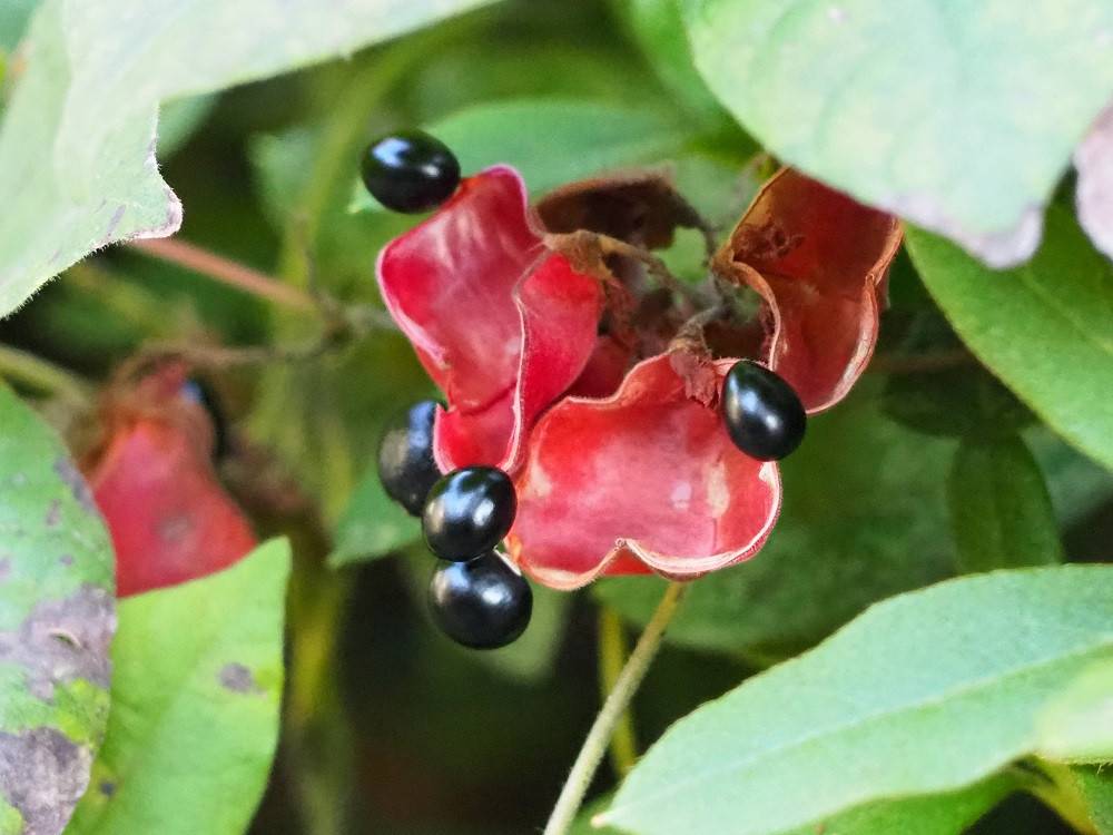 PA300534 - コピー.jpg