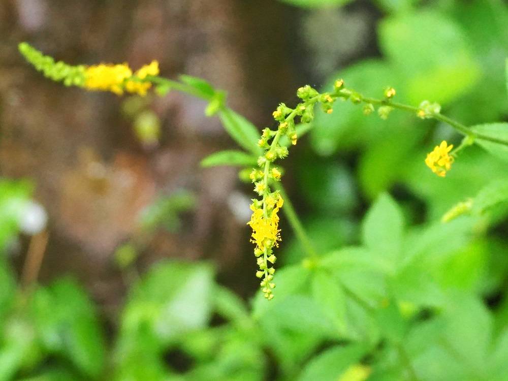 P7130597 - コピー.jpg