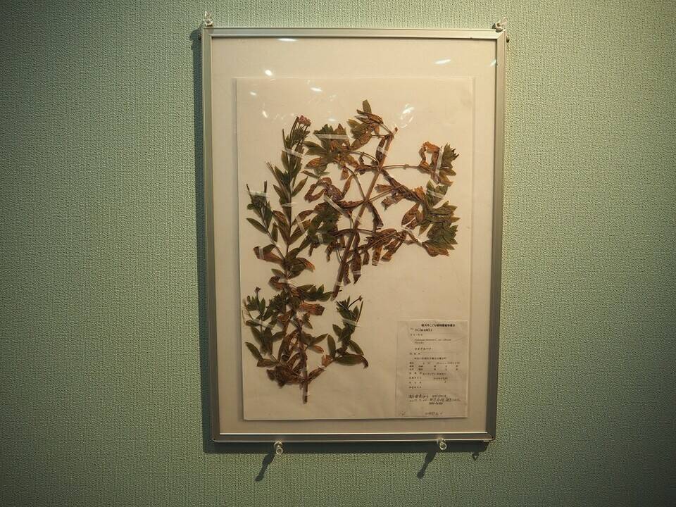 P9030121 - コピー.jpg