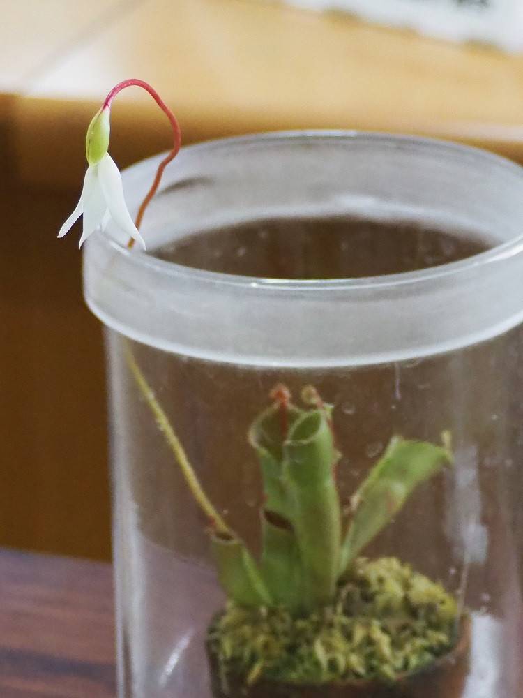 PA050504 - コピー.jpg