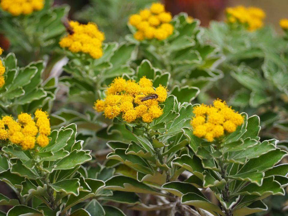 PB240176 - コピー.jpg