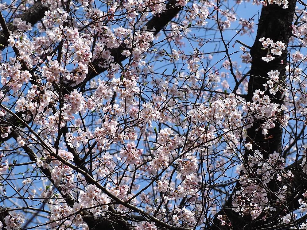 P3280534 - コピー.jpg