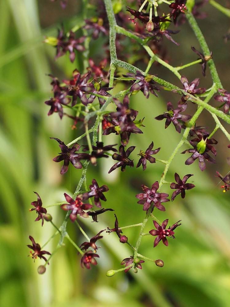 P8180561 - コピー.jpg