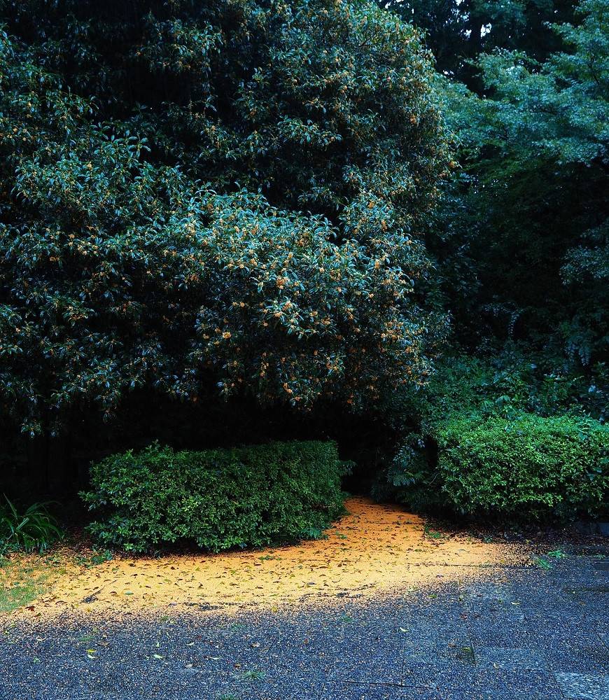 PA090161 - コピー.jpg